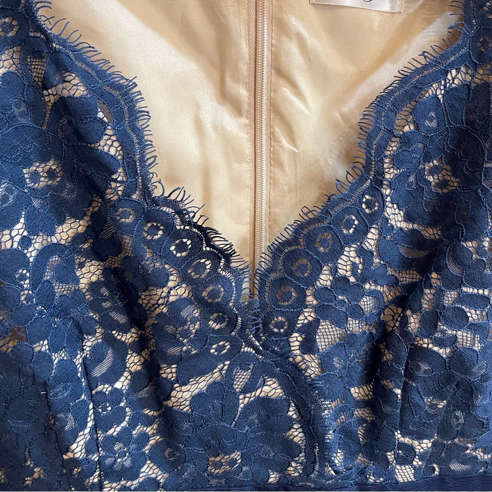 Eliza J Navy Lace Dress - Picture 8 of 16